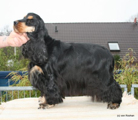 Lusi